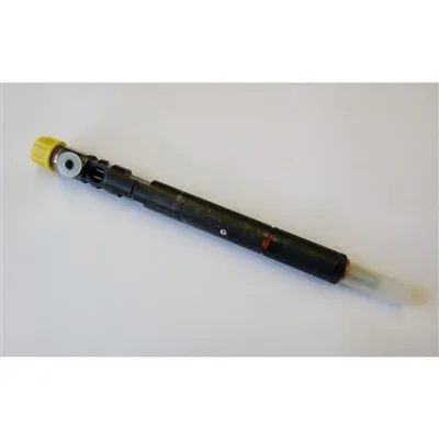 Mercedes-Benz A6460700987 Injektor